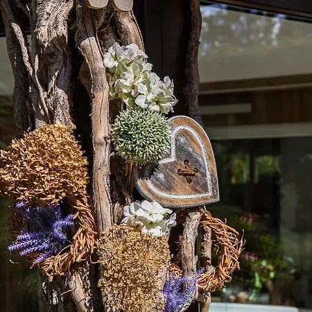 Appartement Zum Wohlfuehlen Dresden