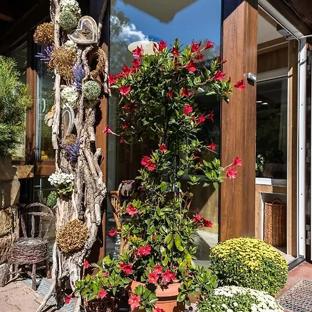 Appartement Zum Wohlfuehlen Dresden