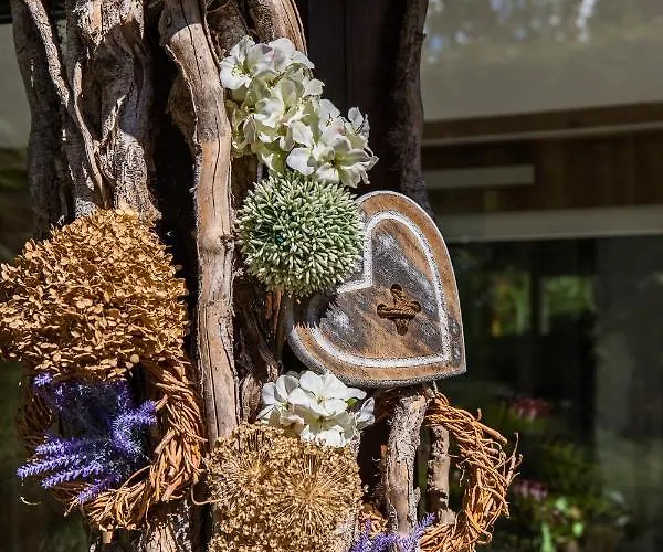 Apartman Zum Wohlfuehlen Drezda