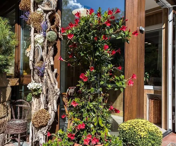 Apartman Zum Wohlfuehlen Drezda