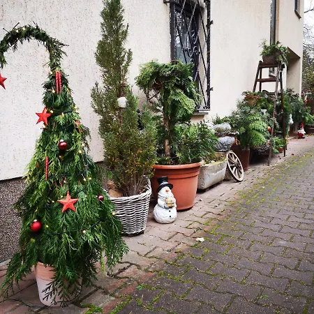Zum Wohlfuehlen Drezno